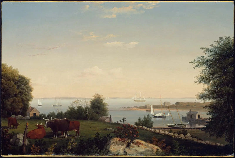 Gloucester z Brookbank - Fitz Henry Lane