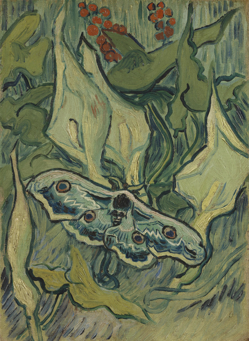 Wielki paw nocny - Vincent van Gogh