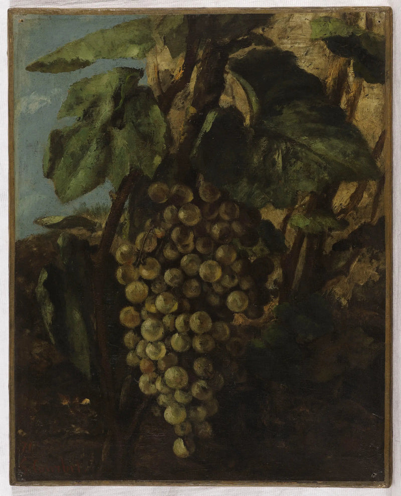Kiść winogron - Gustave Courbet