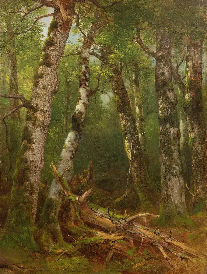 Grupa drzew - Asher Brown Durand