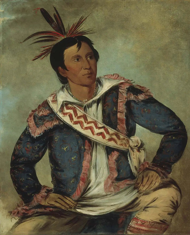 Há-tchoo-túc-knee, żółw wężowy, mieszaniec - George Catlin