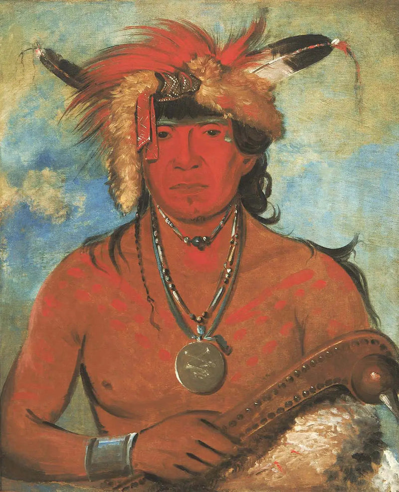 Háh-je-day-ah'-shee, Spotkanie z ptakami, odważny - George Catlin