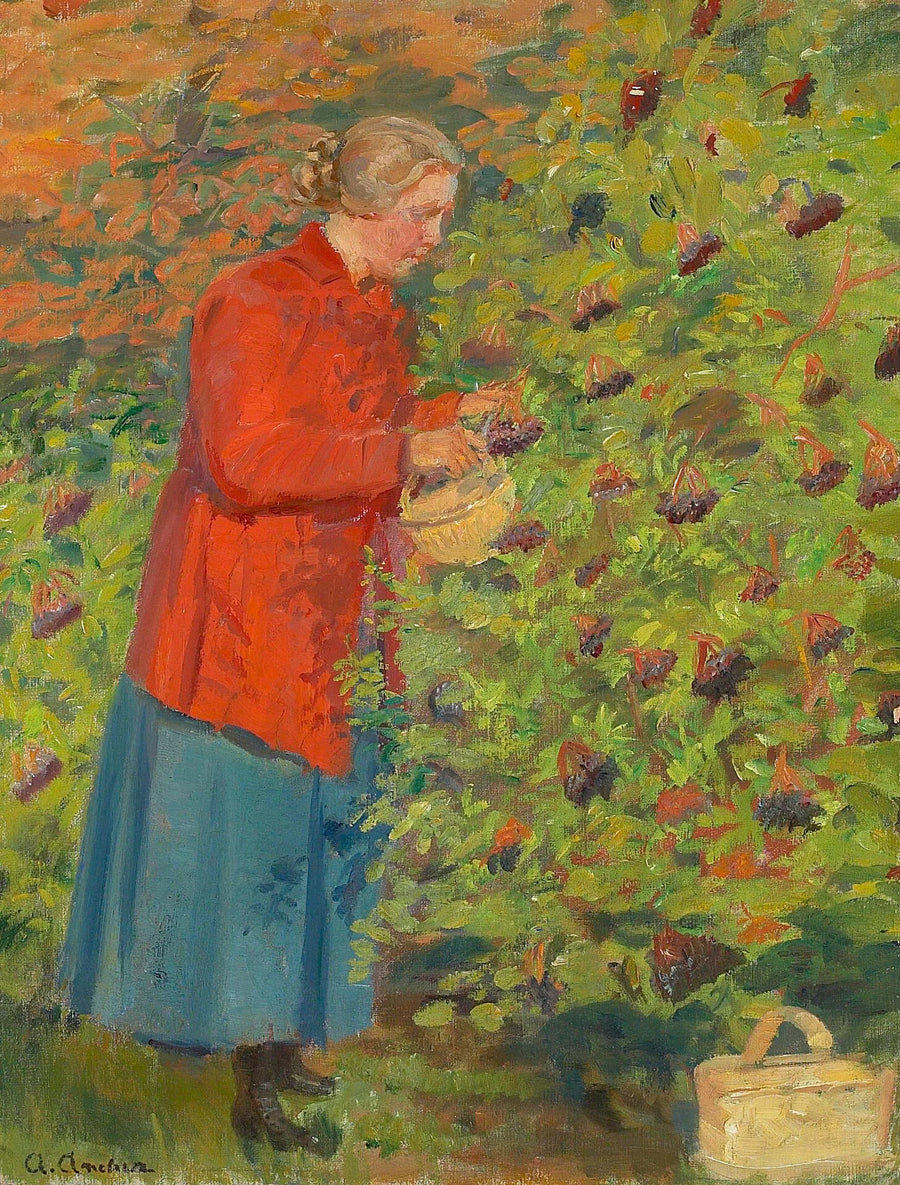 Helga Ancher zbierająca czarne porzeczki. - Anna Ancher