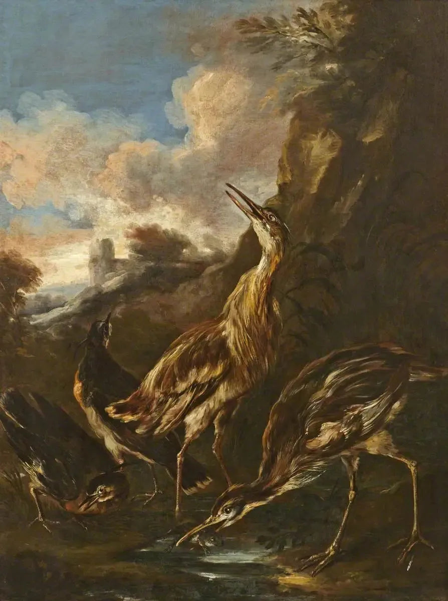 Żurawie i czaple - Melchior de Hondecoeter