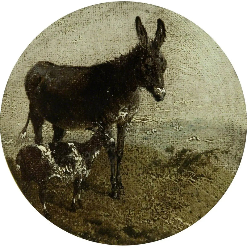 Osiem okrągłych scenek wiejskich: osioł i koza - John Frederick Herring, Sr.