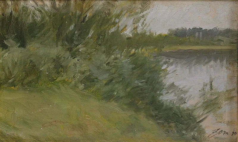 Wyspa na Saxviken - Anders Zorn