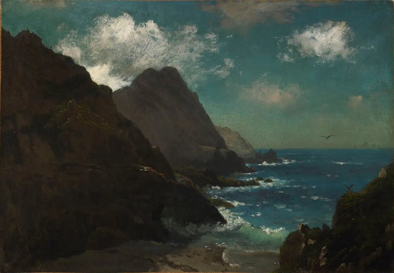 Wyspy Farallon - Albert Bierstadt