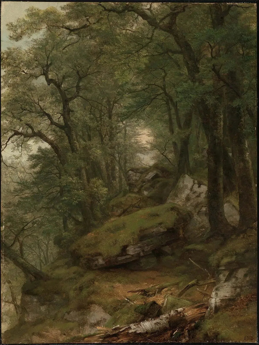 Wnętrze z drewnem - Asher Brown Durand