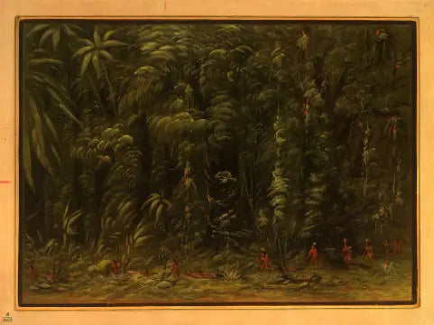 Wnętrze amazońskiego lasu - Zurumati - George Catlin