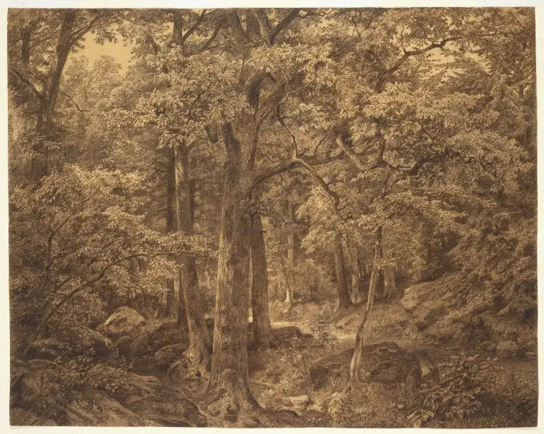 Wnętrze lasu - William Trost Richards