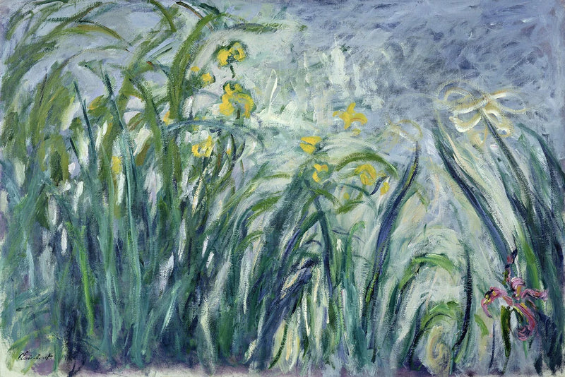 Irysy żółte i fioletowe - Claude Monet