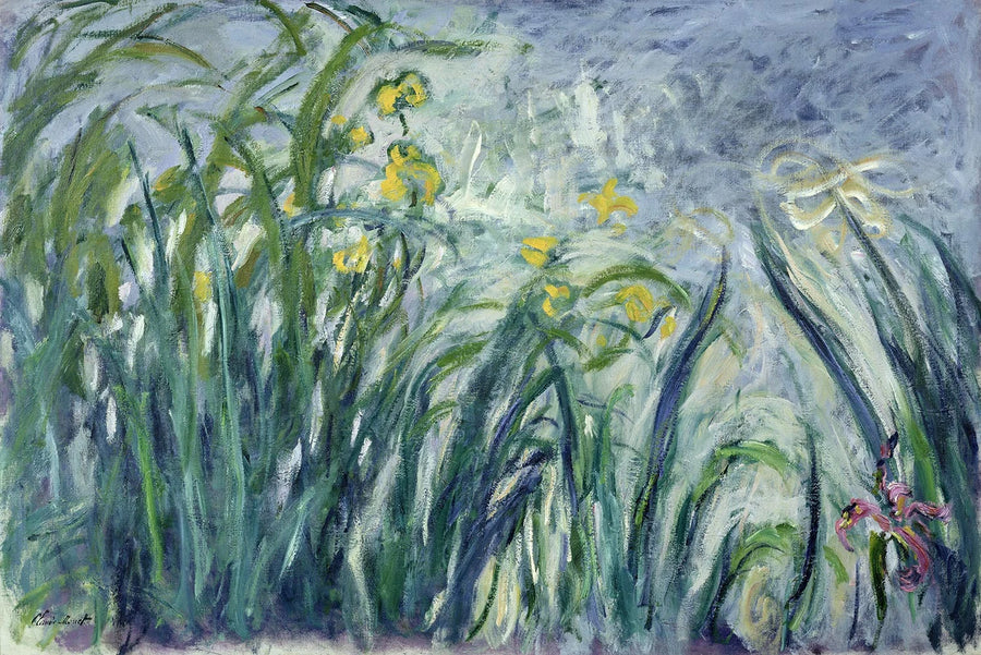 Irysy żółte i fioletowe - Claude Monet