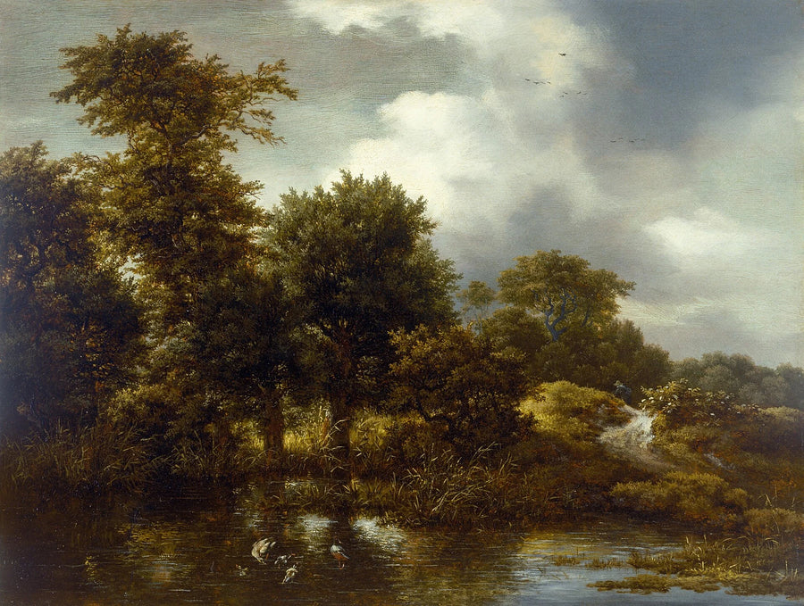 Paysage boisé à l’étang - Jacob van Ruisdael