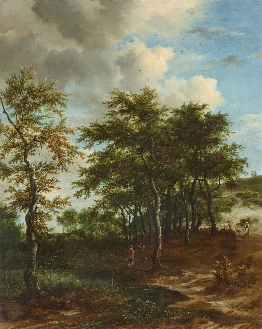 Paysage aux grands arbres - Jacob van Ruisdael
