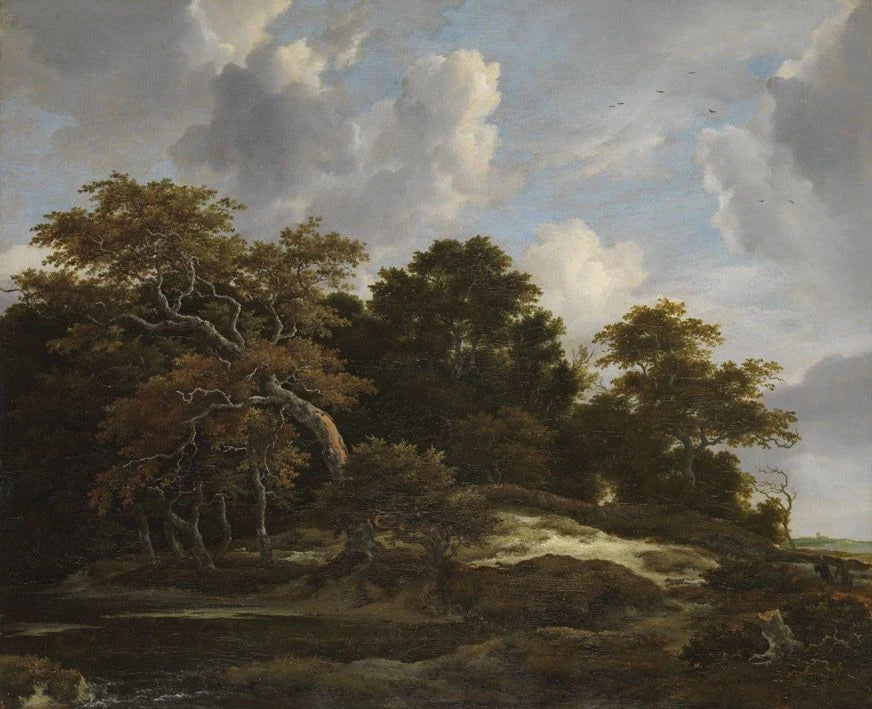 Paysage boisé avec chasse au lièvre - Jacob van Ruisdael