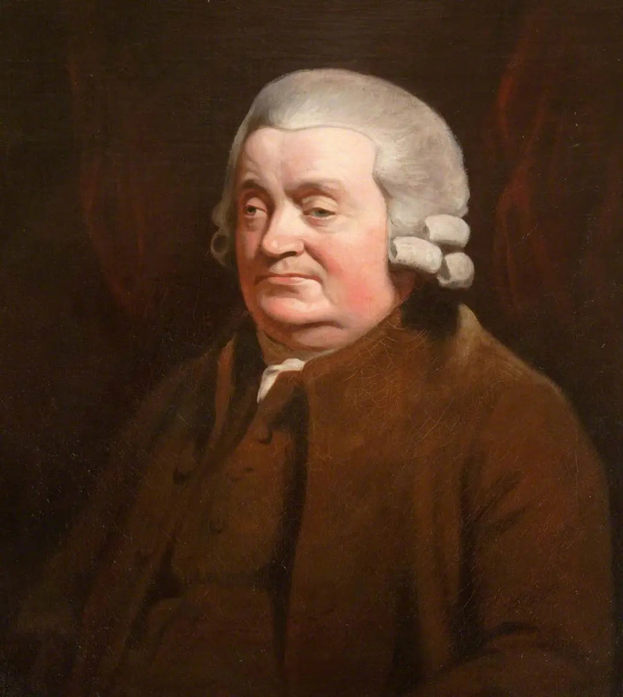 James Johnston (1721–1797), chirurg, burmistrz Dundee (1790–1791) - Henry Raeburn