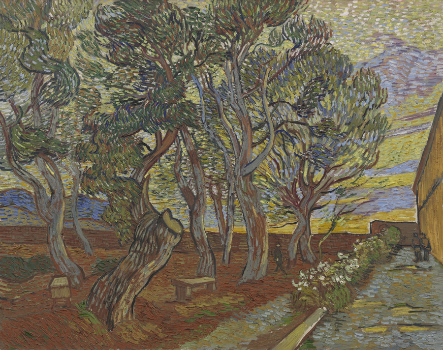 Ogród azylu - Vincent van Gogh