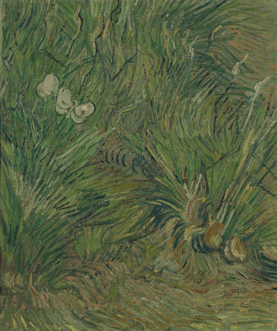 Jardin avec des papillons - Vincent van Gogh
