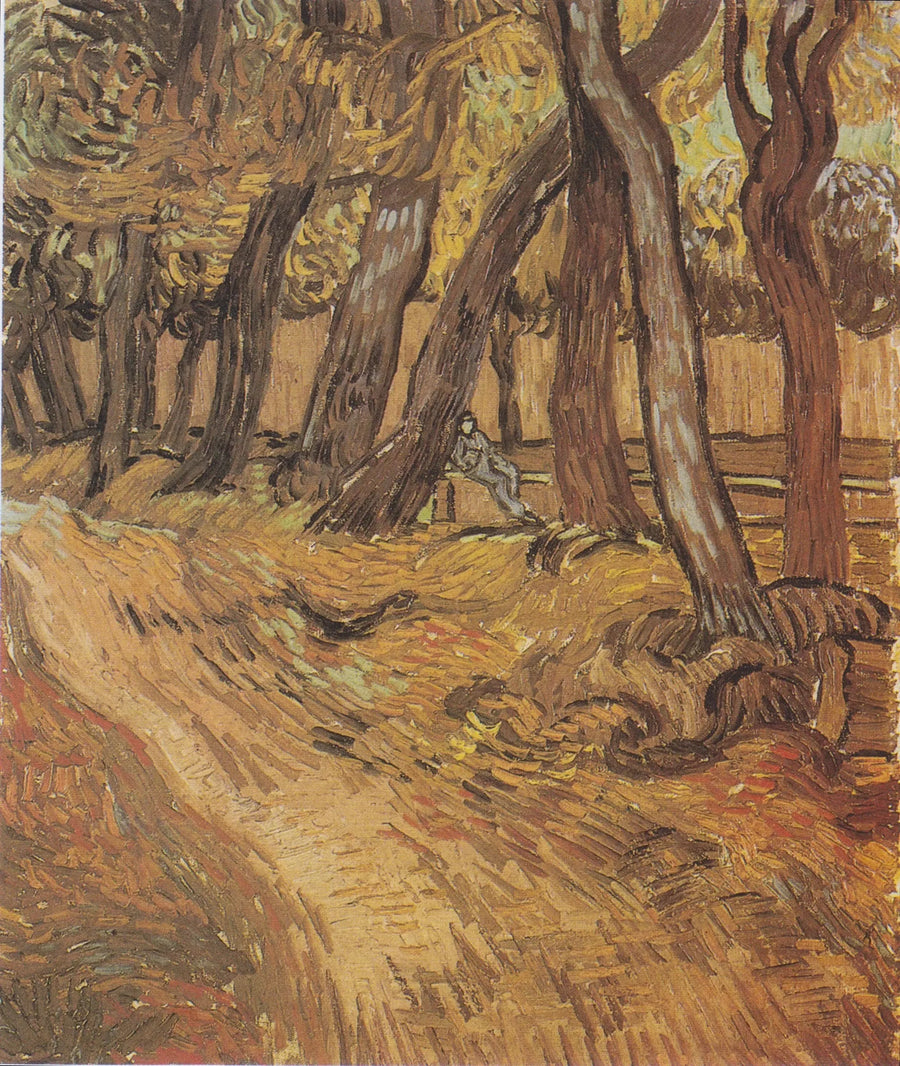 Ogród szpitala Saint-Paul z postacią, Le - Vincent van Gogh