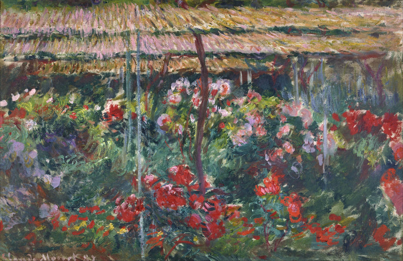 Ogród piwonii W1140 - Claude Monet