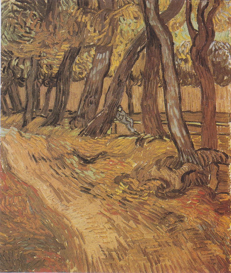 Ogród szpitala Saint-Paul z postacią, Le - Vincent van Gogh