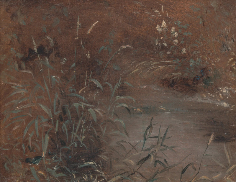 Skrzypy nad brzegiem basenu - John Constable