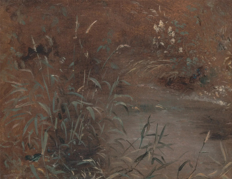 Skrzypy nad brzegiem basenu - John Constable