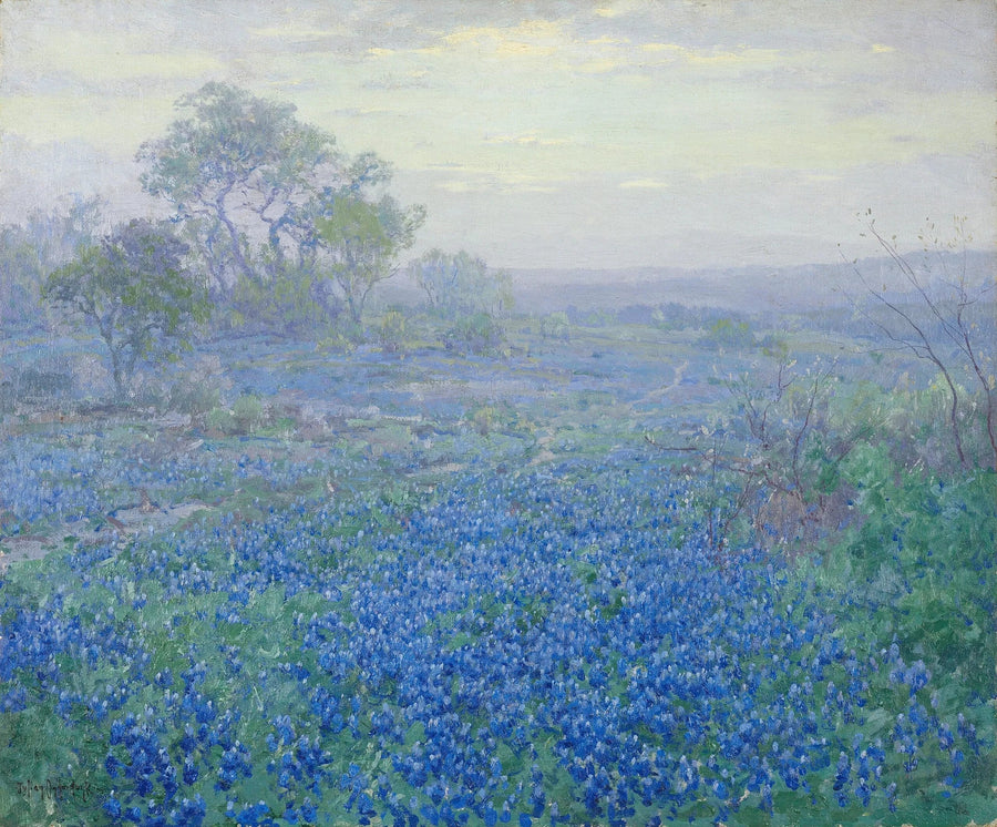 Pogodny dzień, niebieskie lupiny w pobliżu San Antonio, Teksas - Julian Onderdonk