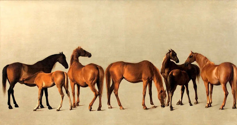 Klacze i źrebięta bez wcześniejszych historii - George Stubbs