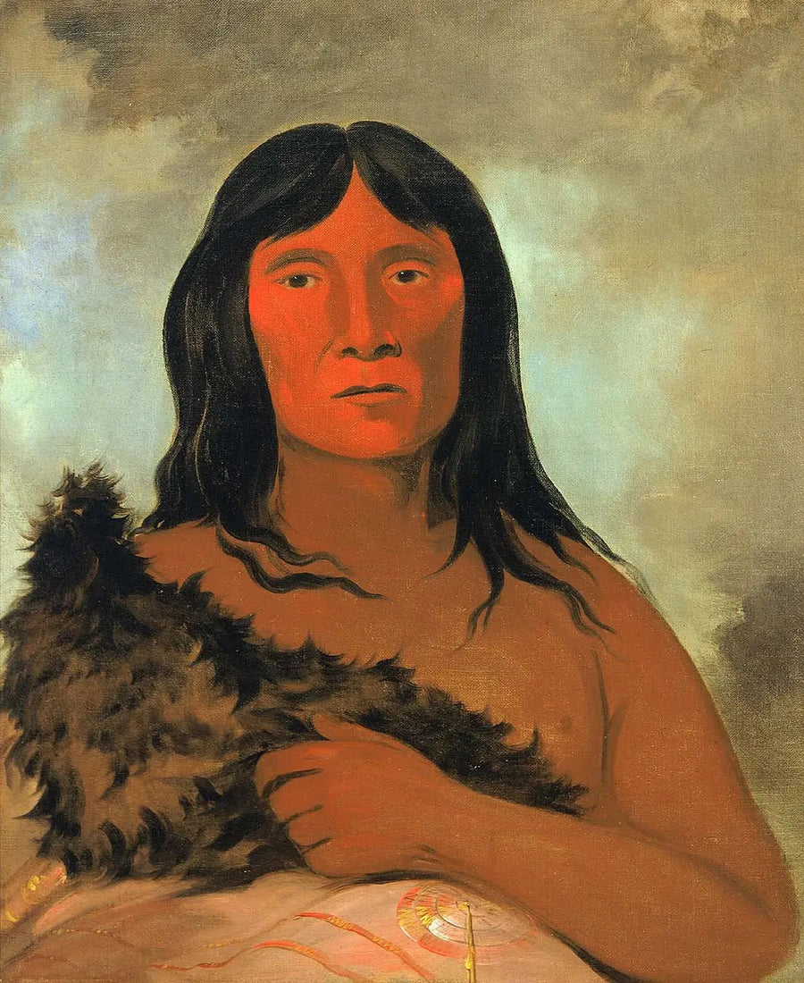 Kay-ée-qua-da-kúm-ee-gísh-kum, Ten, który bada ziemię stopą - George Catlin