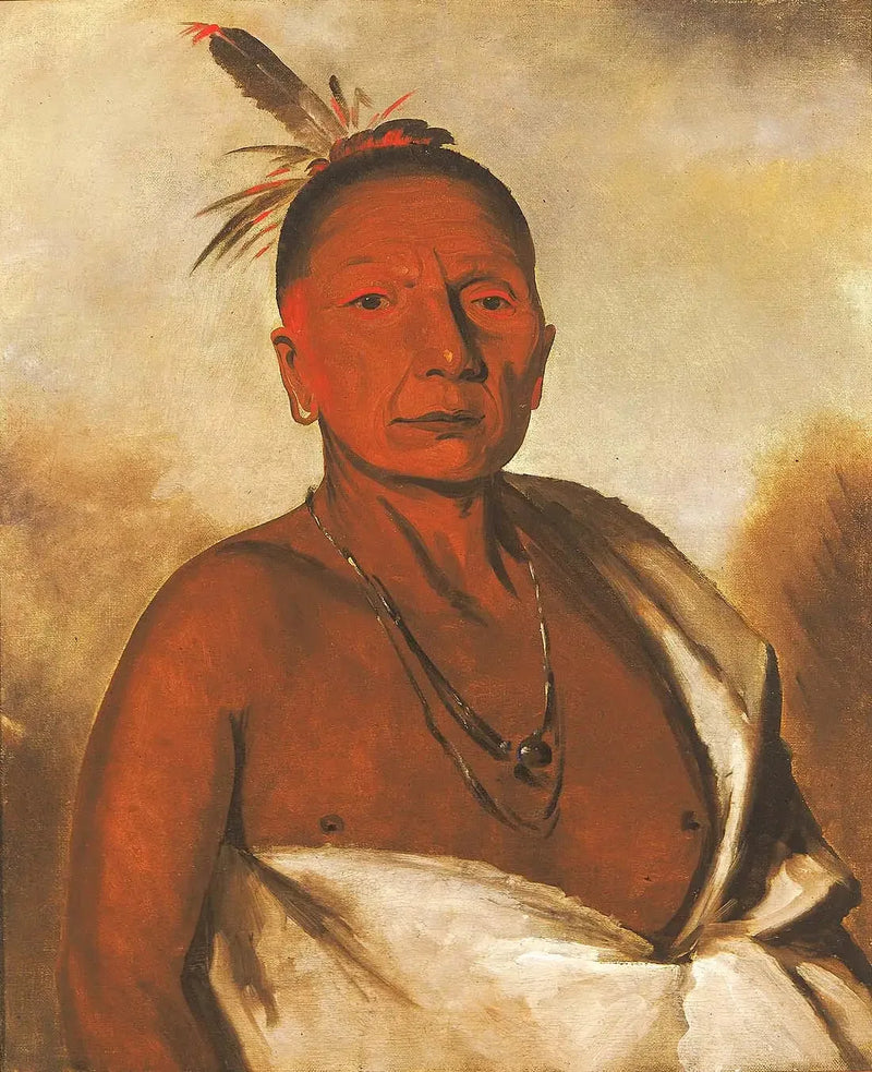 Kid-à-day, dumny szlachcic - George Catlin