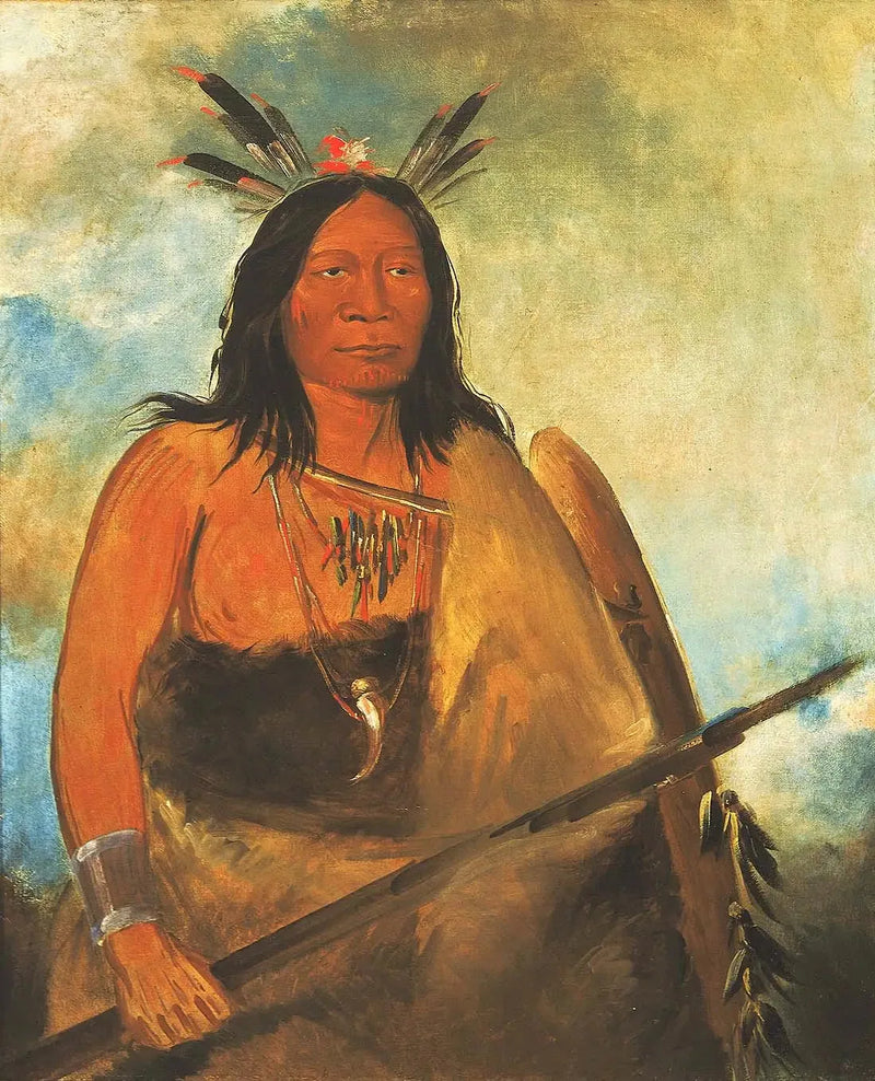 Kots-o-kó-ro-kó, sierść na szyi byka, obraz - George Catlin