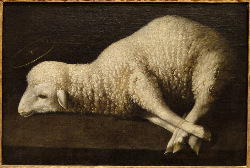 Baranek Boży - Francisco de Zurbarán