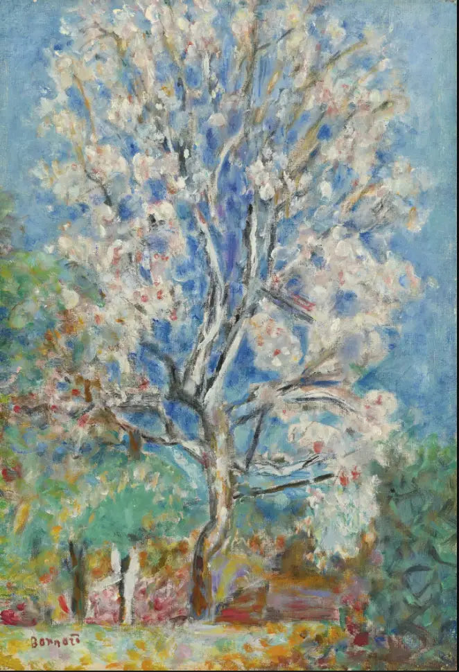 Migdałowiec w kwiatach - Pierre Bonnard