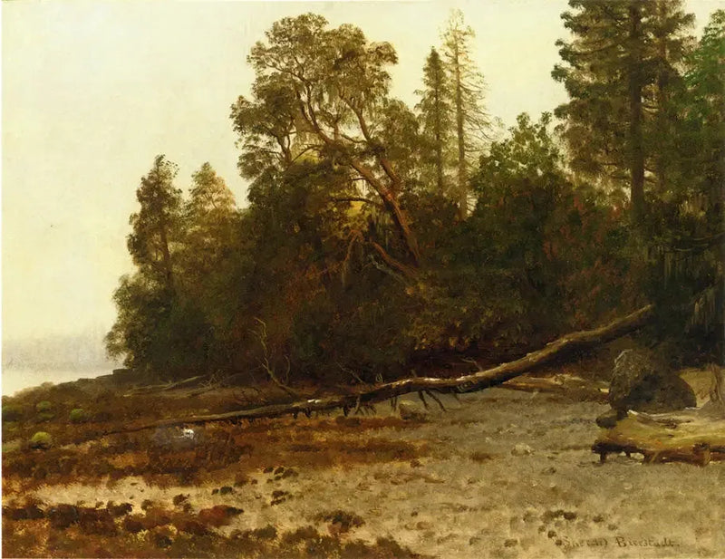 Upadłe drzewo - Albert Bierstadt
