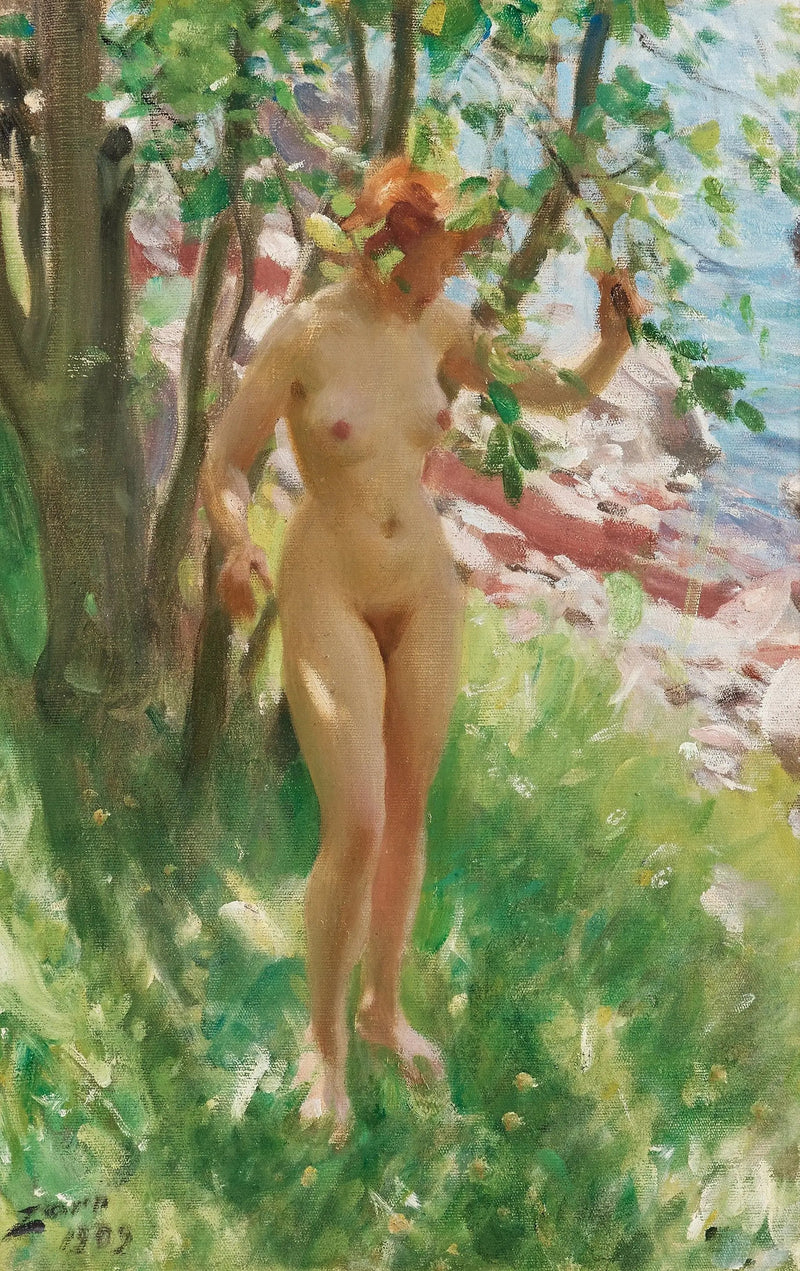 Cień - Anders Zorn