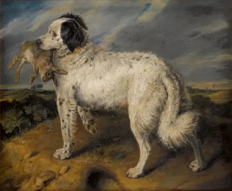 Mistrzyni: Wenus - Edwin Henry Landseer