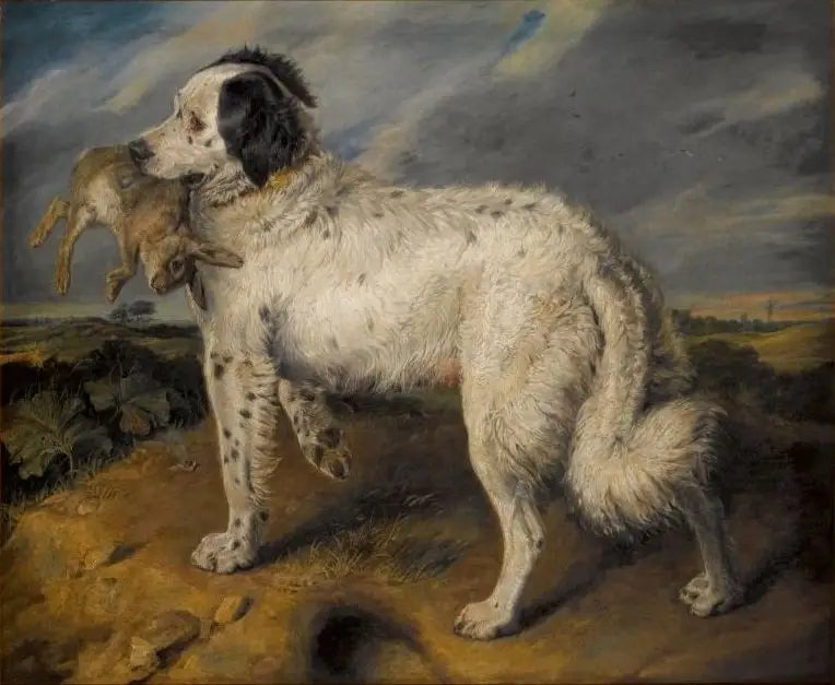 Mistrzyni: Wenus - Edwin Henry Landseer