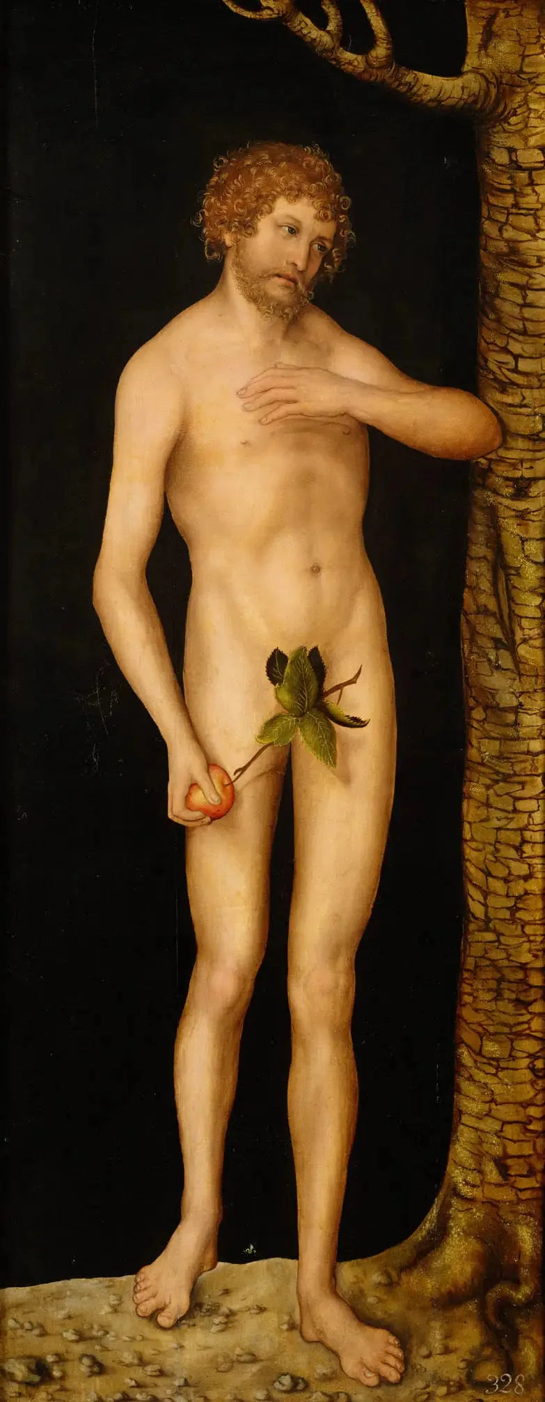 Upadek człowieka: Adam - Lucas Cranach Starszy
