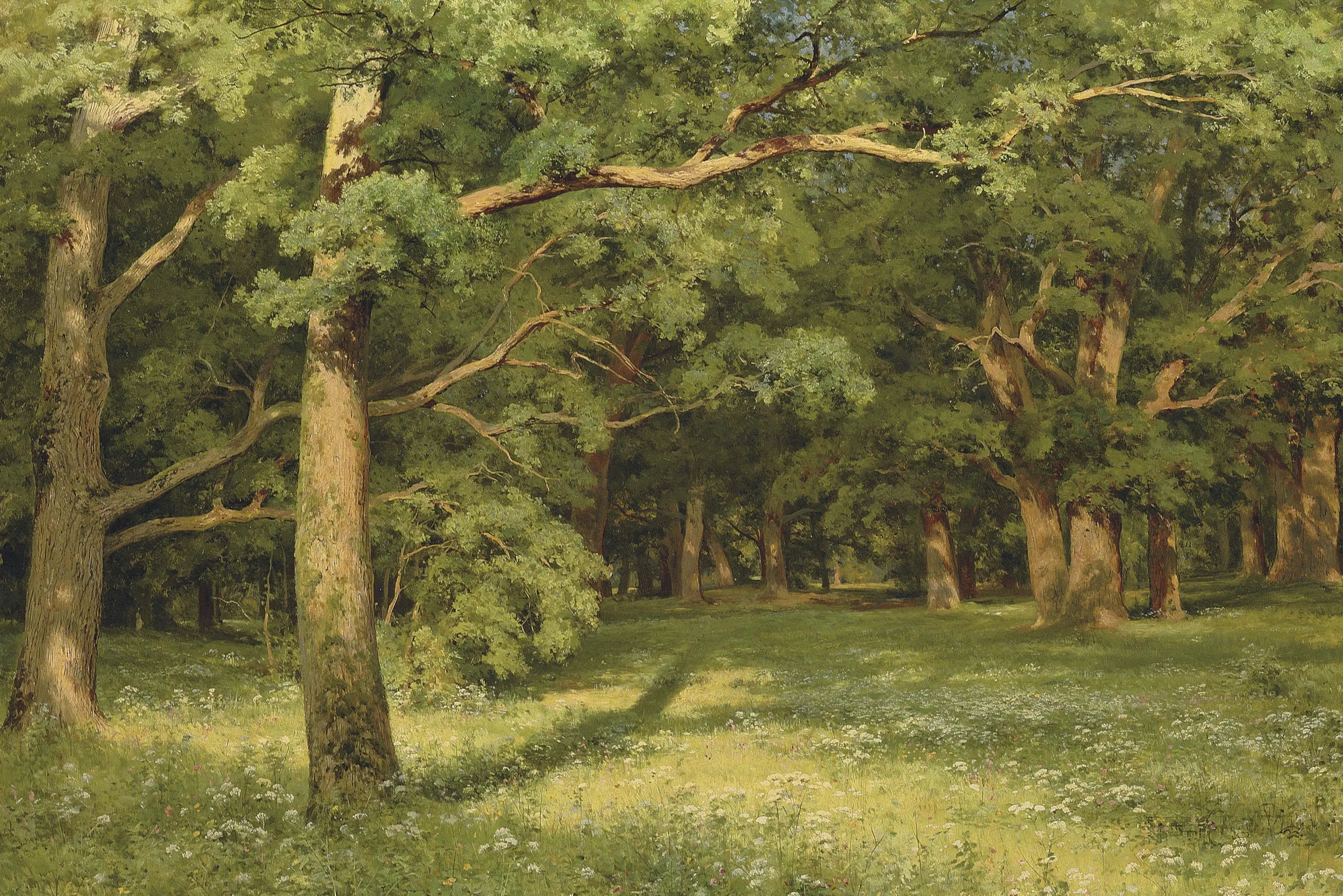 La clairière de la forêt - Ivan Chichkine - Alpha Reproduction
