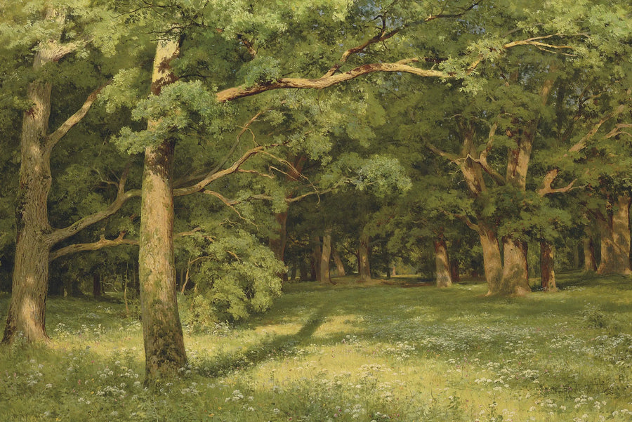 Polana w lesie - Ivan Chichkine