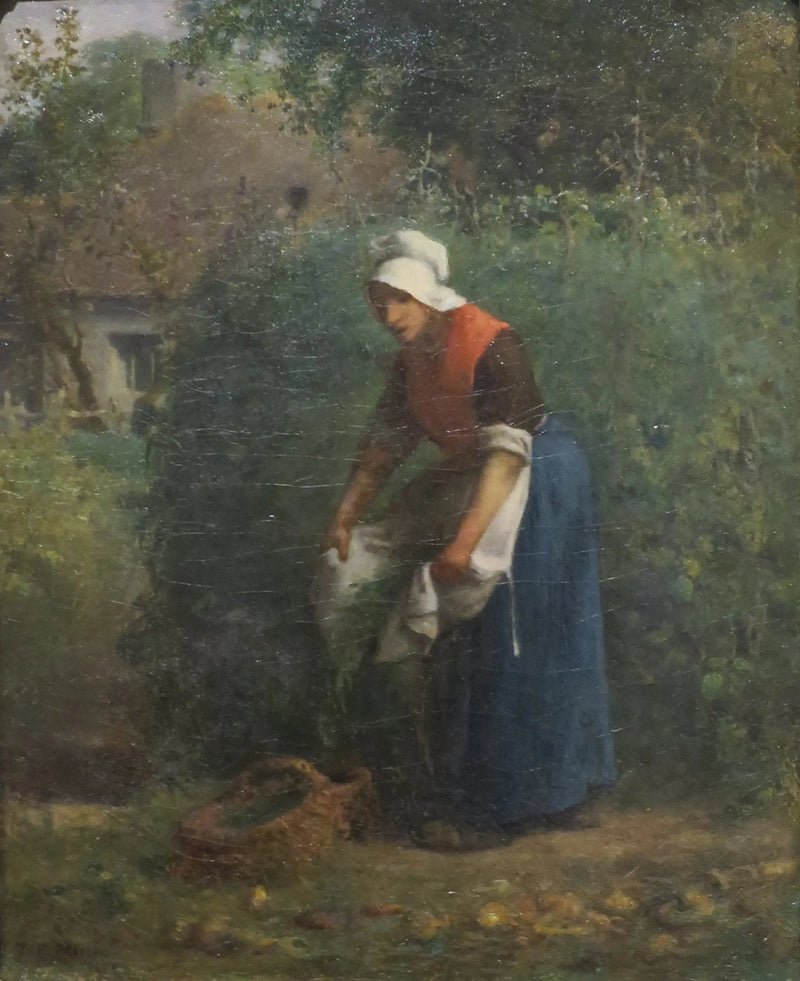 Zbiór fasoli - Jean-François Millet