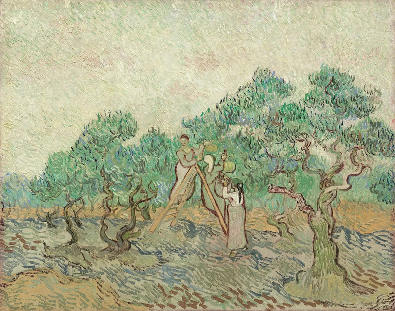 Zbieranie oliwek - Vincent van Gogh