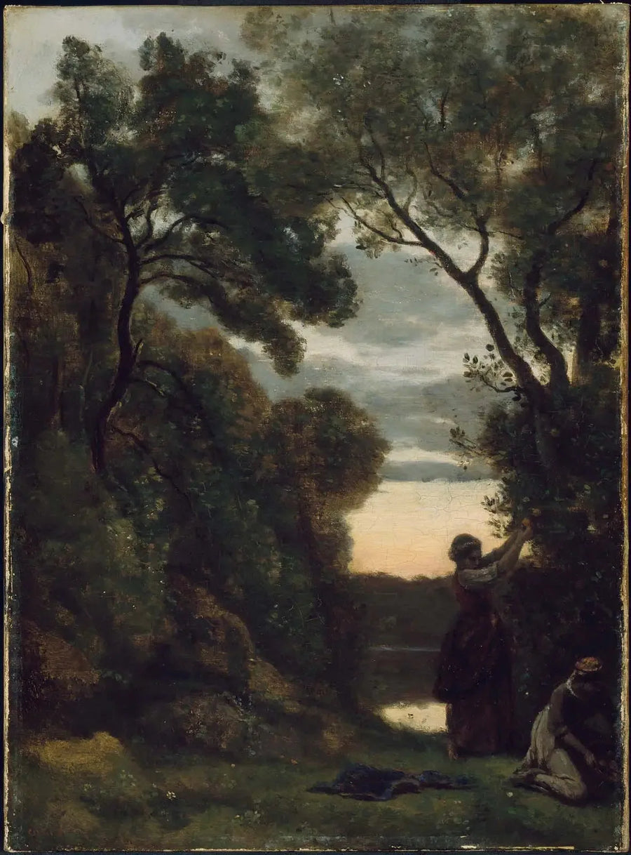 Zbiór laurowego krzewu - Jean-Baptiste Camille Corot