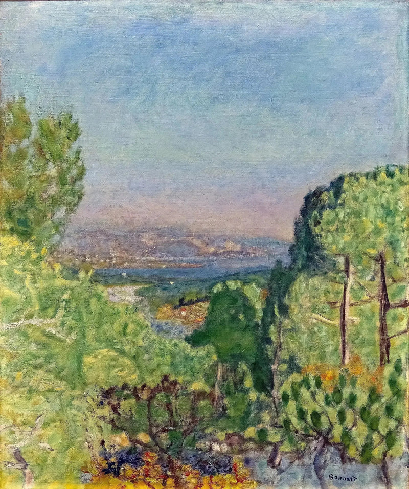 Las sosnowy - Pierre Bonnard