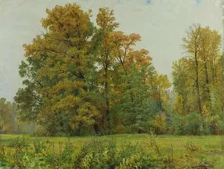 Brzegi lasu - Iwan Czichkin