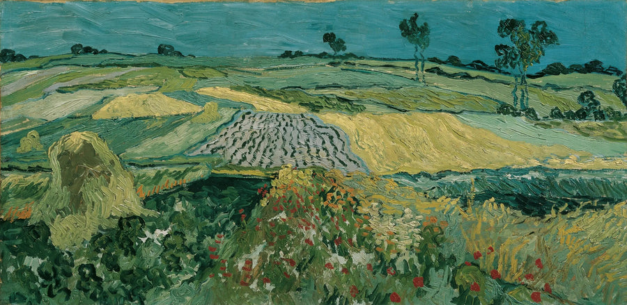 Równina Auvers - Vincent van Gogh