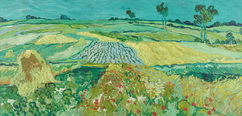 Równina Auvers - Vincent van Gogh