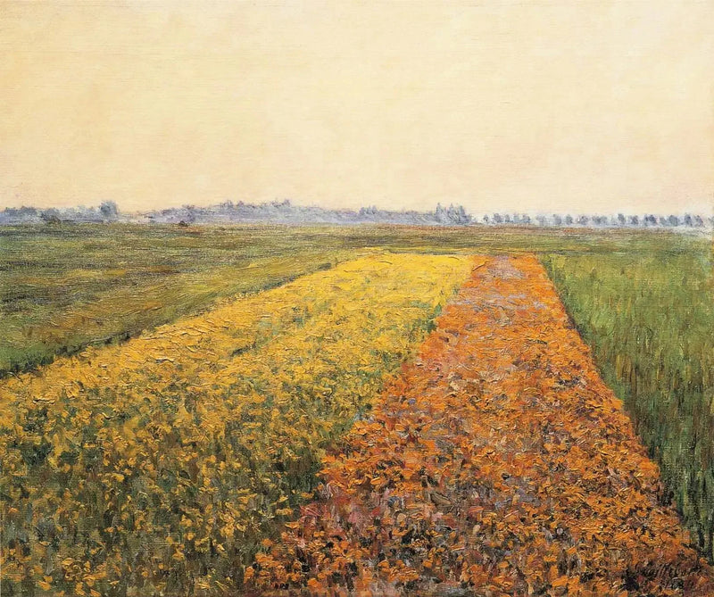 Równina Gennevilliers, Żółte pola - Gustave Caillebotte