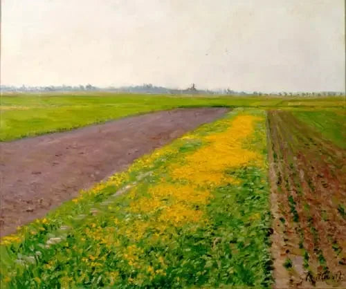 Równina Gennevilliers - Gustave Caillebotte